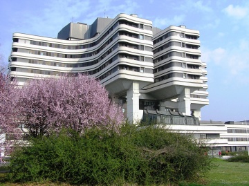 139.jpg