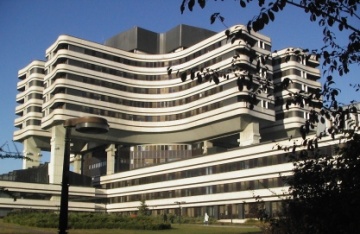 146.jpg